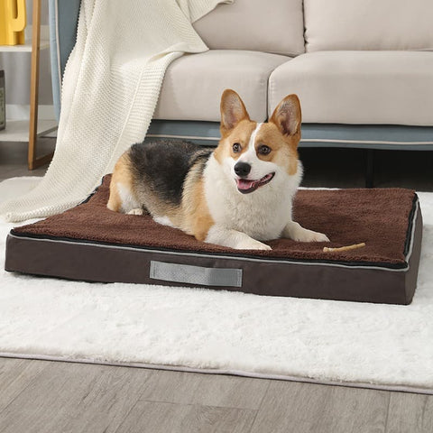 Corgi laying on Coffee Orthopedic Memory Foam Dog Bed