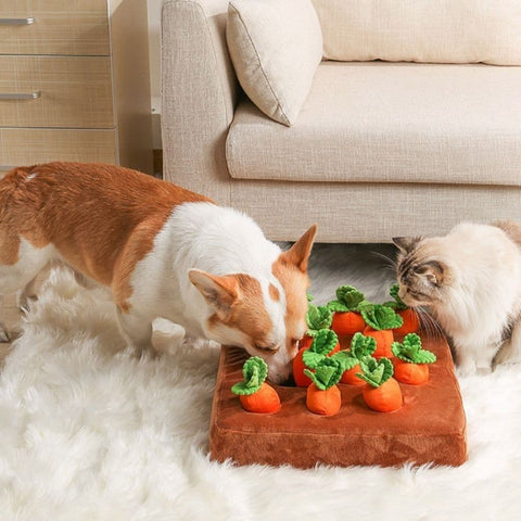 A Corgi sniffing the Carrot Field Snuffle Mat next to a cat