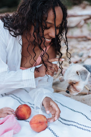 A dog looking at peaches placed on a blanket