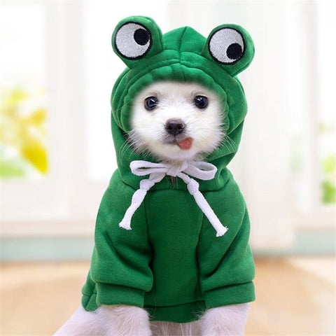 A dog sitting on the floor while wearing the Froggy Dog Hoodie