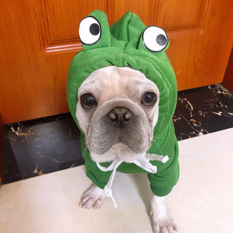 A dog sitting on the floor while wearing the Froggy Dog Hoodie