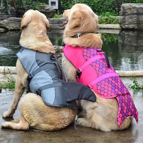 Two dogs wearing their Shark & Mermaid Dog Life Jackets