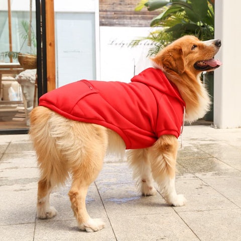 A dog wearing a Red Extra Warm Fleece Dog Hoodie