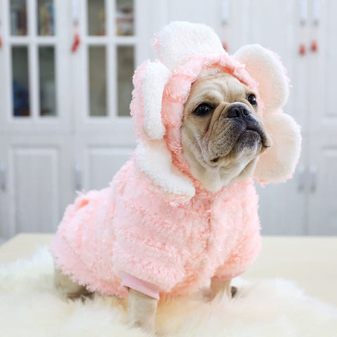 French Bulldog wearing a Pink Flower Dog Hoodie