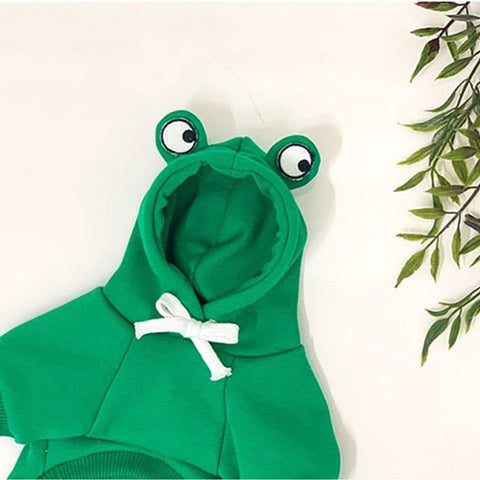 Froggy Dog Hoodie next to a plant