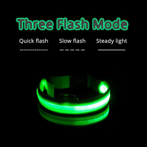 The Green LED Dog Collar showing the three working modes