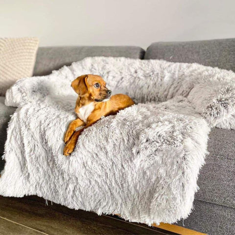 A Puggle relaxing on a Light Gray Calming Cuddle Furniture Protector placed on a couch