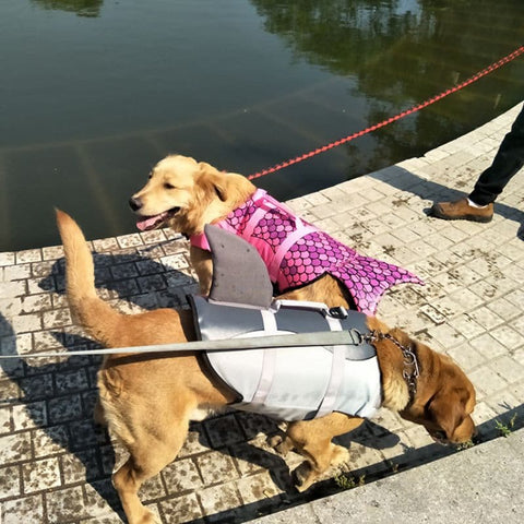 Two dogs wearing their Shark & Mermaid Dog Life Jackets