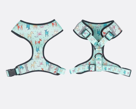Cyan Harness front and back sides