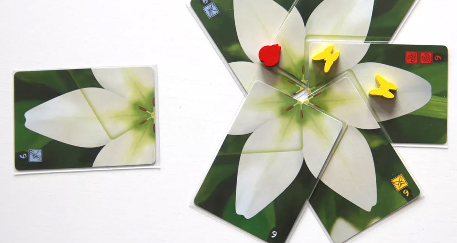 Lotus Card Game Gameplay