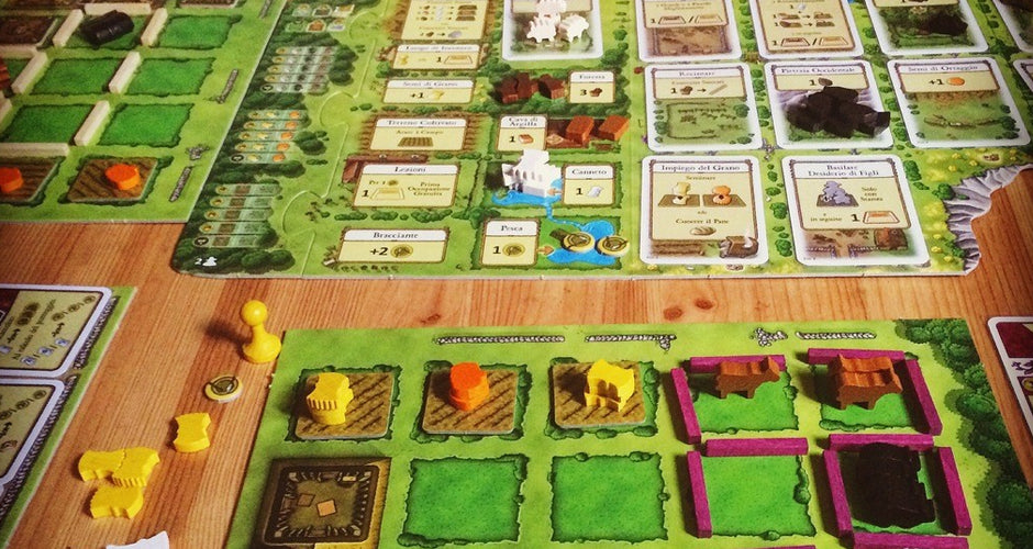 Agricola Board Game Gameplay