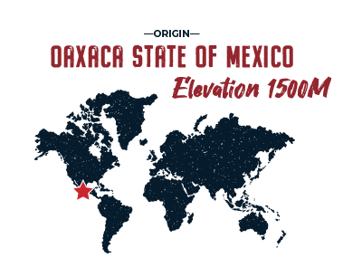 Mexican Oaxaca