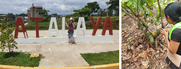 Billeder fra Atalaya, hvor Camilles Cacao Love kommer fra