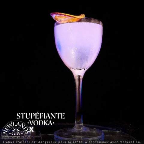 COCKTAIL MAISON DUTIER VODKA STUPEFIANTE GIN NEWLANDS