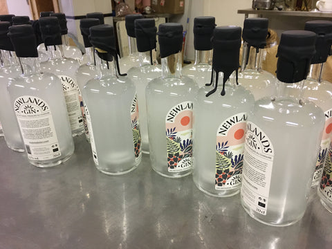 GIN AU CHANVRE NEWLANDS MAISON DUTIER SPIRITUEUX BIOLOGIQUE FRANCAIS BRETONS BRETAGNE CHANVRE STUPEFIANTE VODKA AU CHANVRE FRANCAISE FRANCE CHANVRE ORGANIC