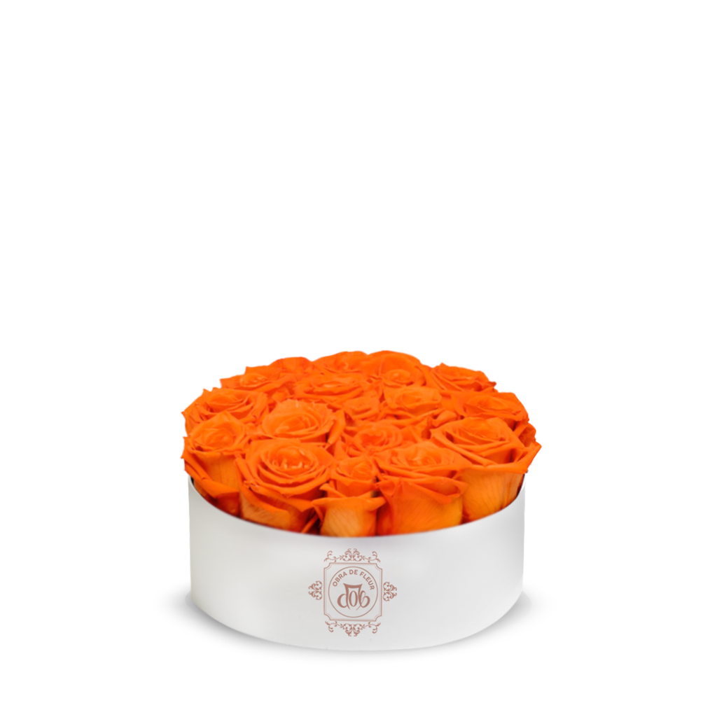 ORANGE FRESH BLOOMS White Box – Cartel Flowers