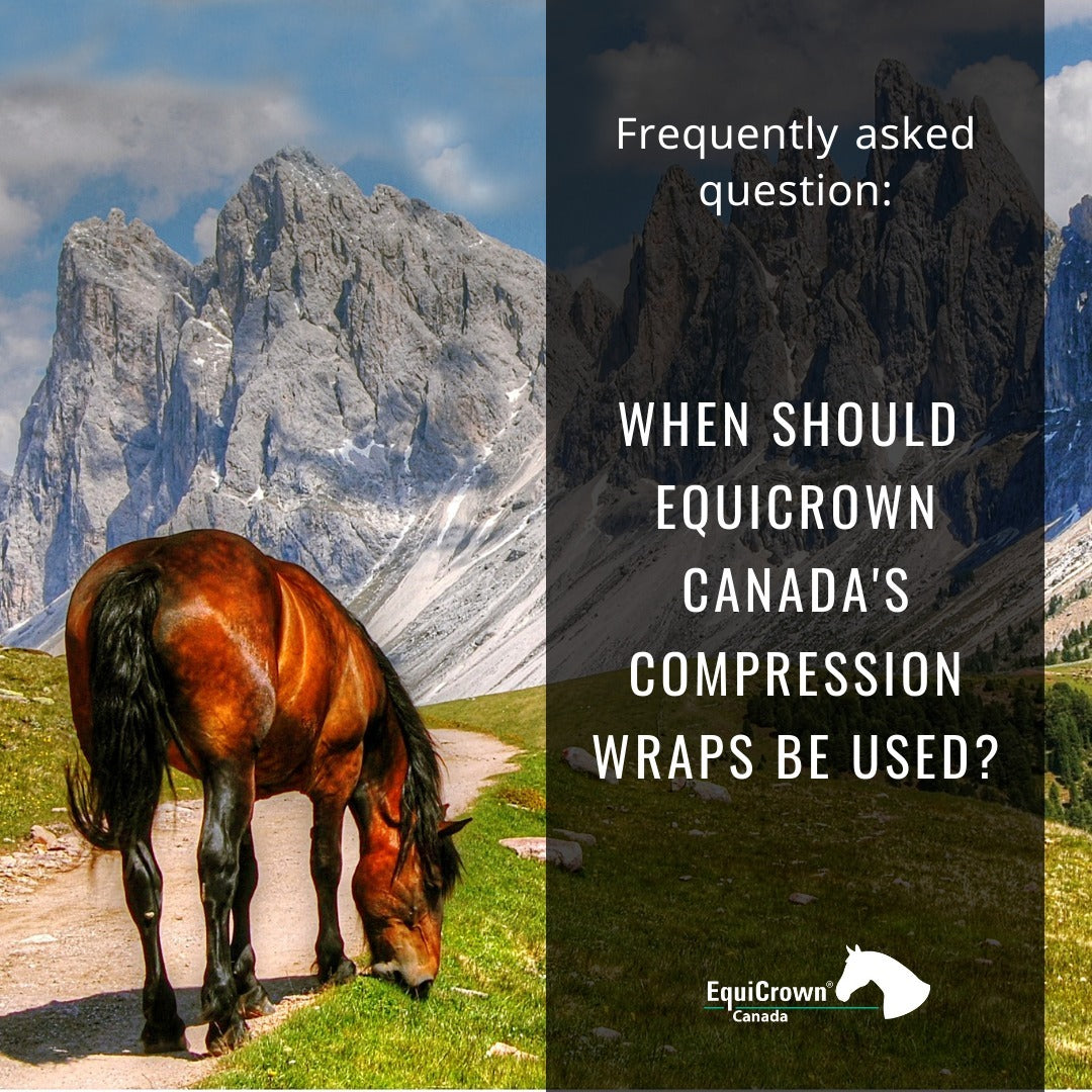 EquiCrown_Canada_on_Instagram_EquiCrown_can_be_used_for_a_wide_v