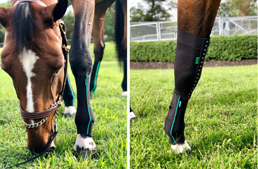 Improve post-operative or post-trauma swelling with Equicrown Bandages