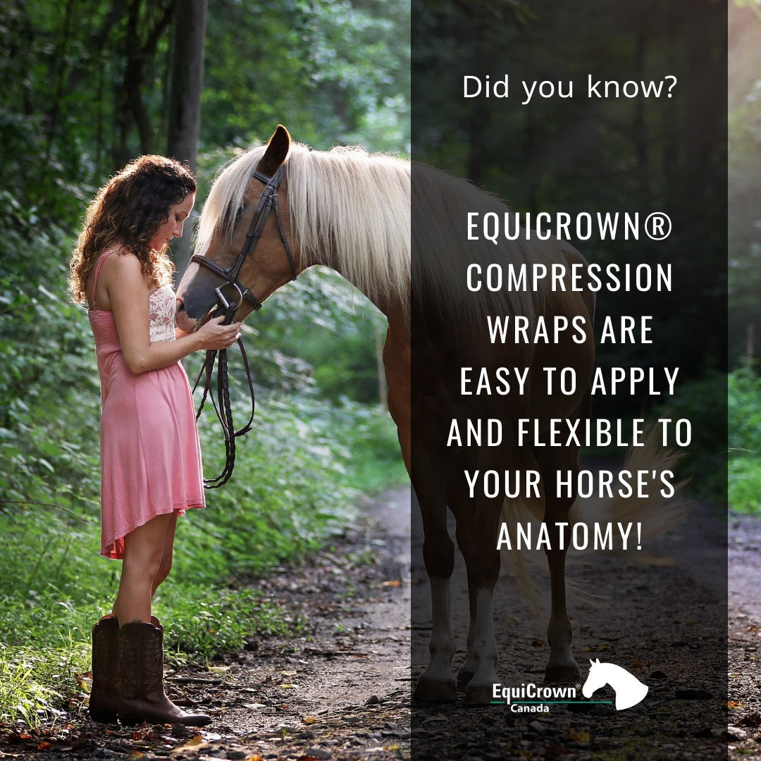 Happy Horse Blog – EquiCrown USA