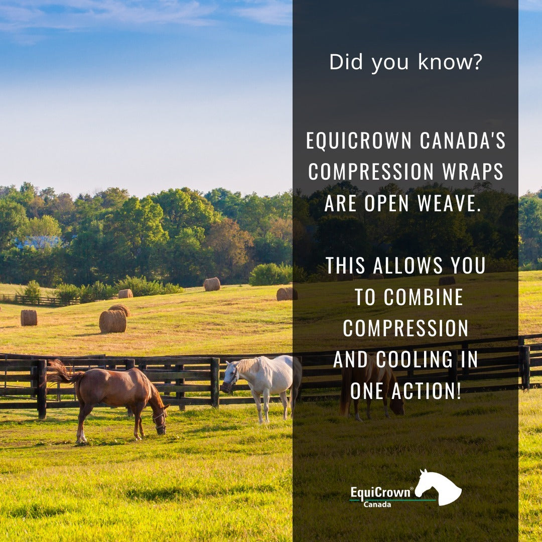 equicrowncanada_Photo_by_EquiCrown_Canada_on_May_17_2023