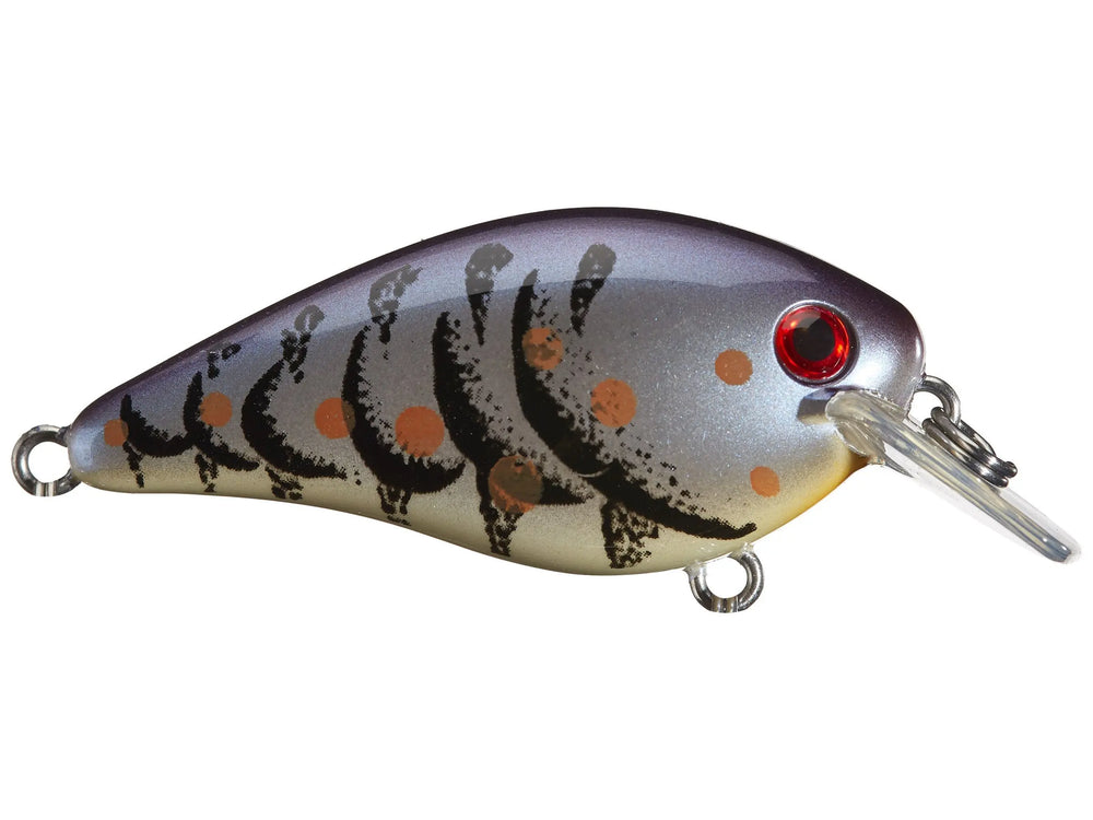 Strike King KVD 1.5 Deep Diver Squarebill Crankbaits - Bait-WrX