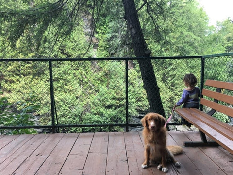 Un bambin regardant un paysage d'automne bblüv