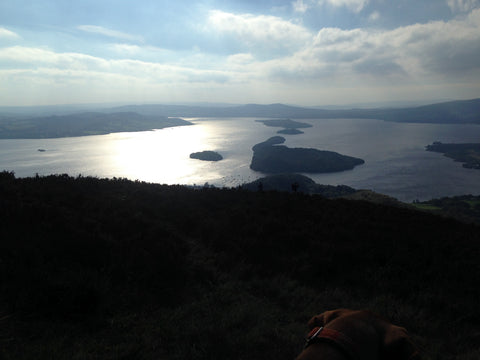 View from the top of Conic Hill