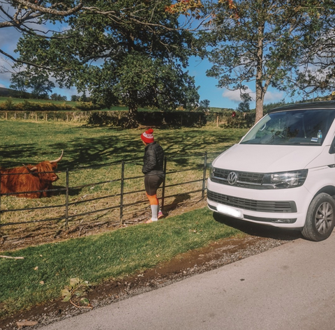 Pet Friendly Campervan Hire Glasgow visiting Highland Coo