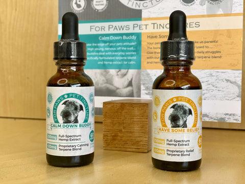 cbd oil for dogs and cats