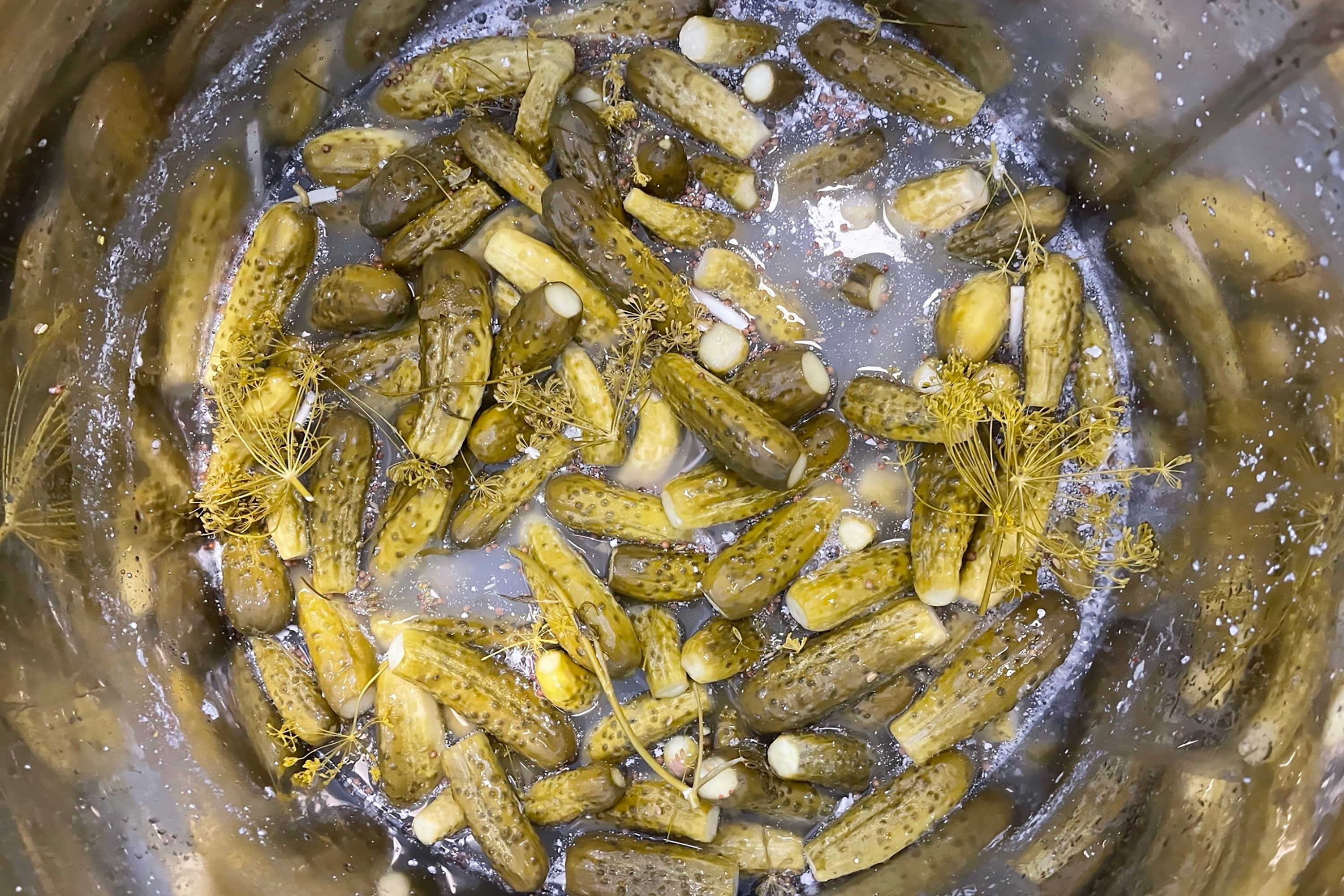 Fermenter pickles