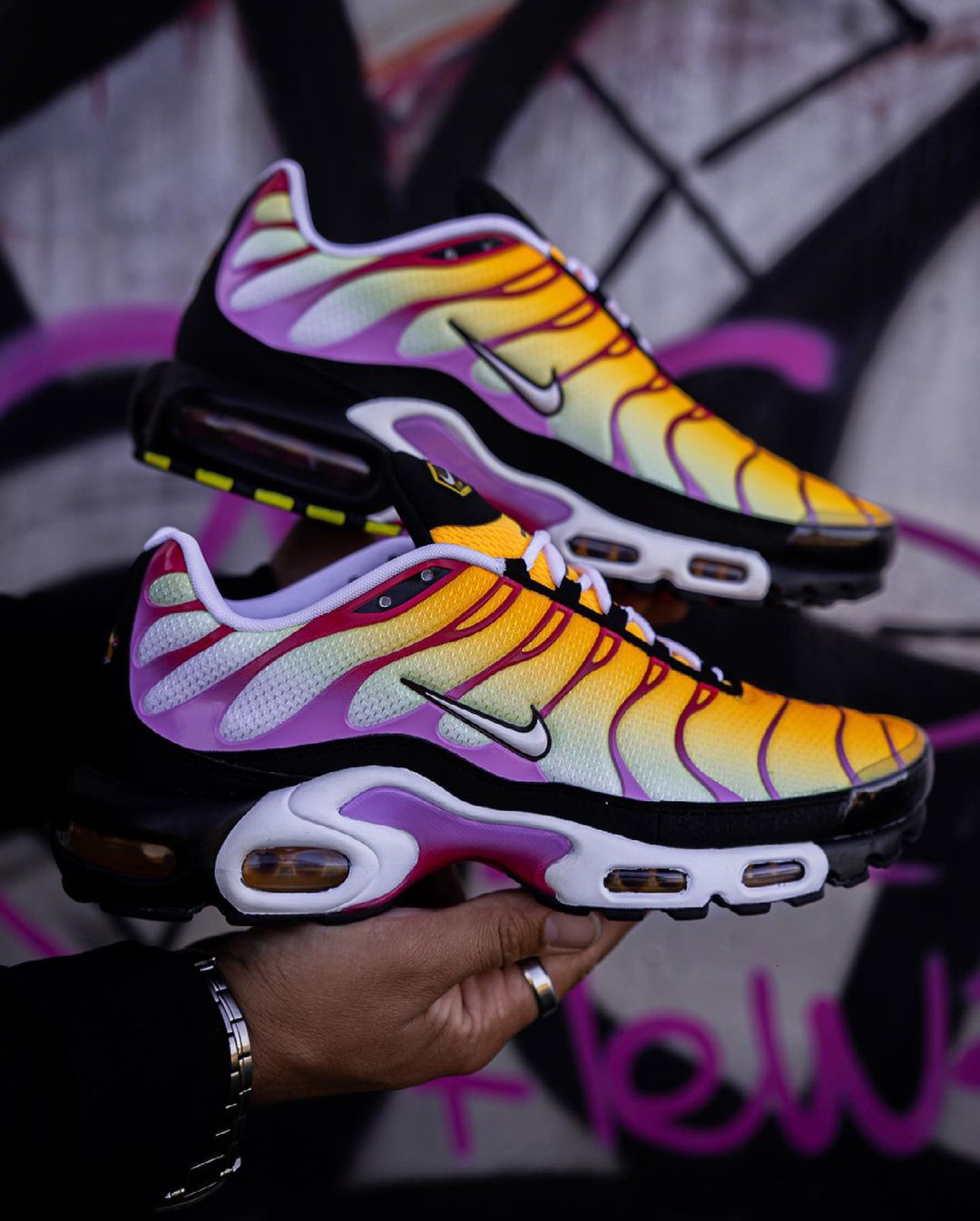 sherbet tns