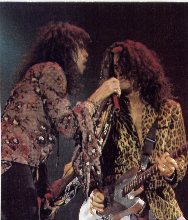 Joe Perry