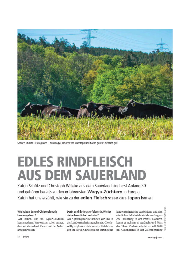 rindfleisch-sauerland