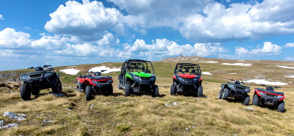 Different makes and models of ATV's and UTV's lined up in front of a scenic view.