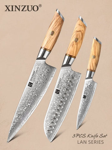 XINZUO 3PCS Kitchen Knives Set North American Desert Ironwood Handle Japan  49 Layers SRS13/R2/SG2 Damascus Steel High End Knife