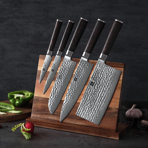 XINZUO 5-piece Damuscus Kitchen Knife Set,67 Layer Hand Forged Damascus  Steel Professional Chef Knife Set with Gift Box, G10 Black Handle,Razor