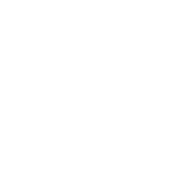 high protien