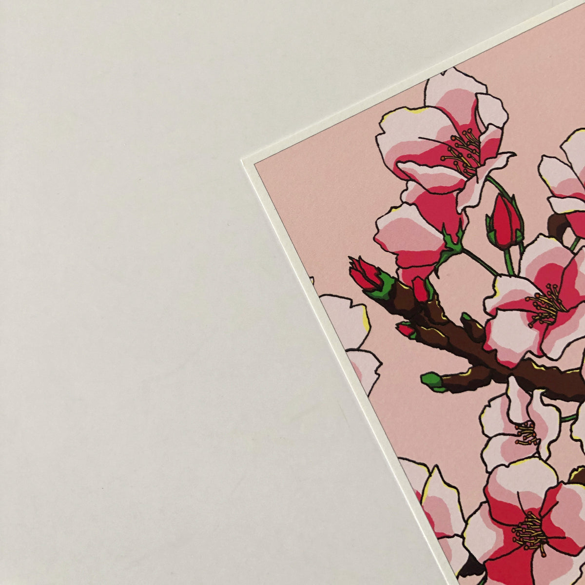 A5 Flower Poster - Cherry Blossom – ENKEL