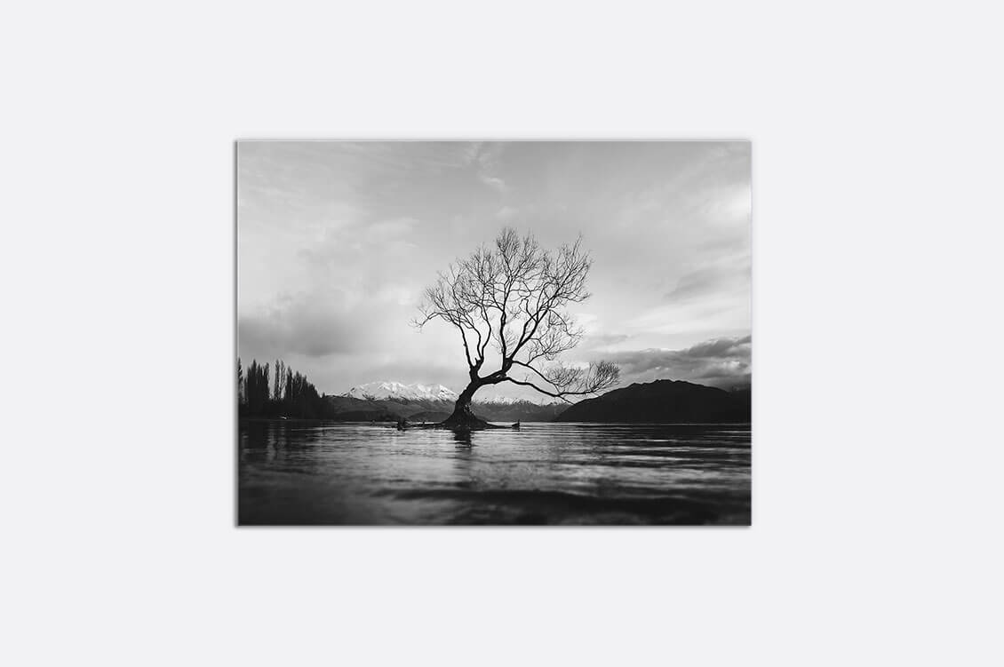 Banner - Black and white long shot of The Wanaka Tree in New Zealand with cloudy skyBlack and white long shot of The Wanaka Tree in New Zealand with cloudy sky.jpg