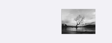 Banner - Black and white long shot of The Wanaka Tree in New Zealand with cloudy skyBlack and white long shot of The Wanaka Tree in New Zealand with cloudy sky.png