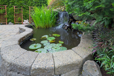 Type Of Water Feature - Fountain With Pond