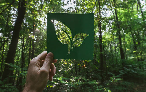 Eco-Friendly Packaging