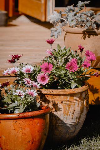 Plant pots with polystyrene for drainage