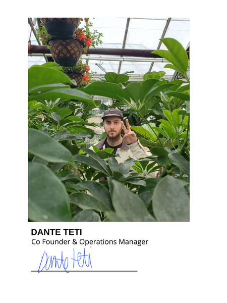 Dante Teti Operations Manager