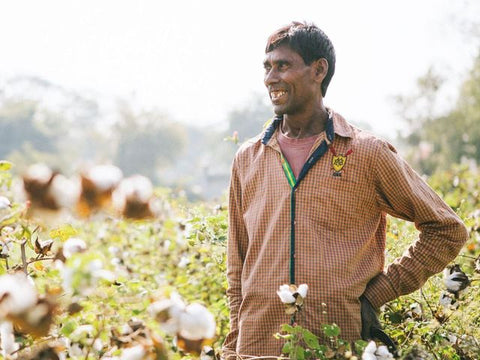 foreign male worker standing in a field of cotton