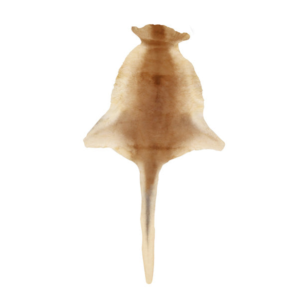 LONG TAIL KANGAROO FUR ML A , NATURAL