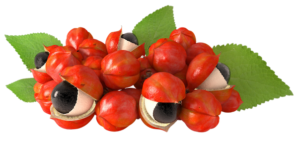 Guarana Extract