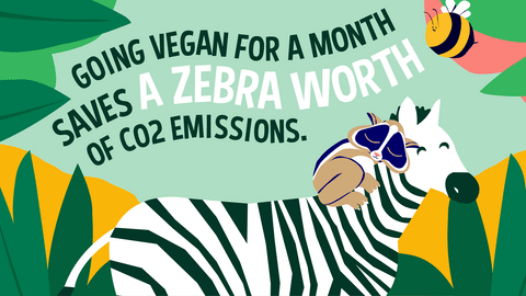 Going Vegan for a month saves a zebra of CO2 emissions
