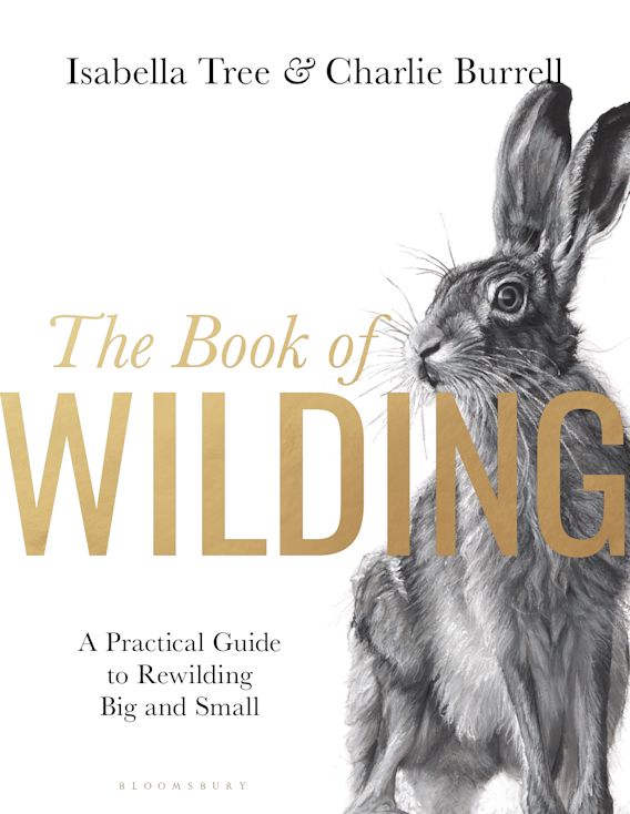 Isabella Tree and Charlie Burrell’s The Book of Wilding 