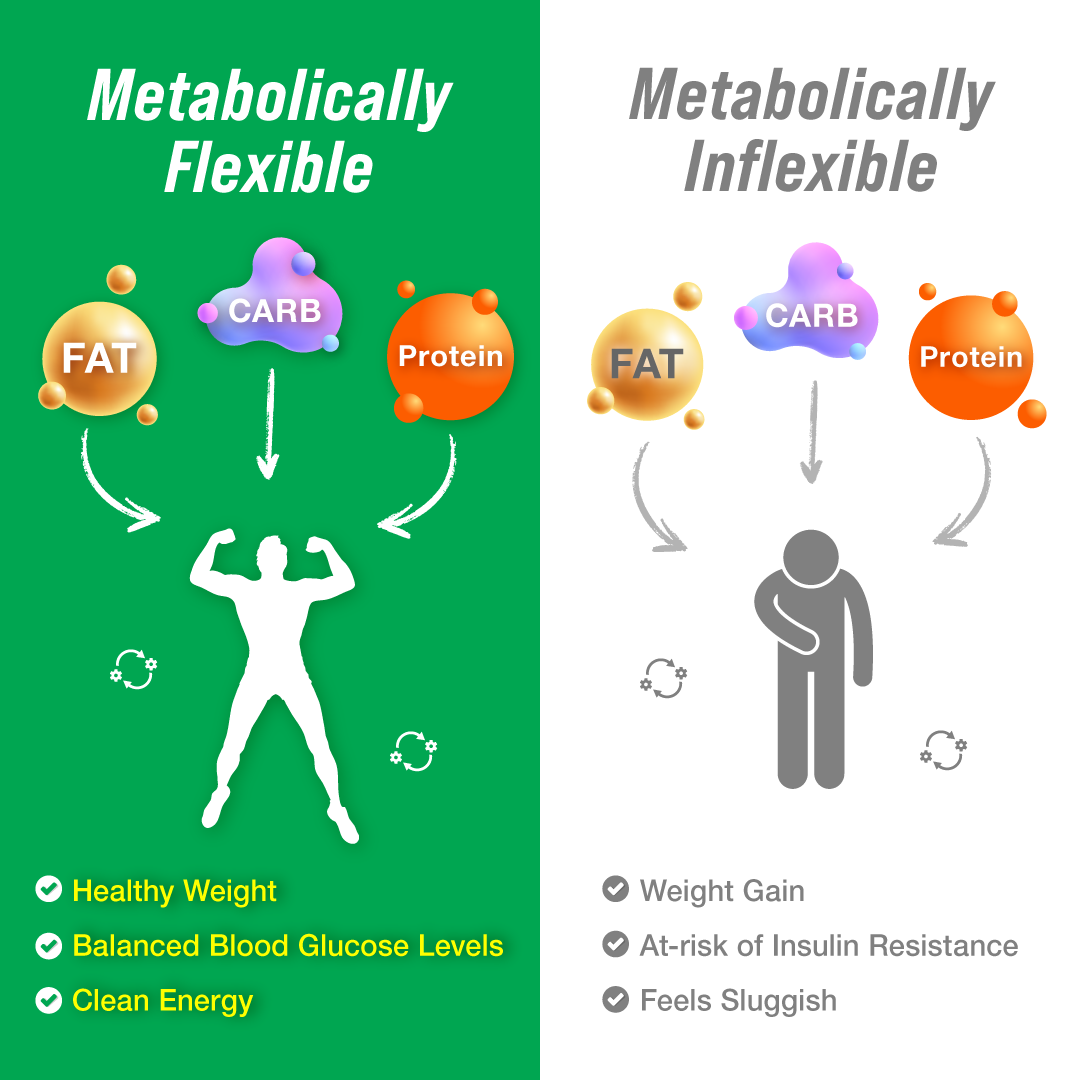 2100379_Metabolically-Flexible_Option-1_020624.png__PID:3bb1ae94-2f9a-47a2-ab9d-0575653c0ca6